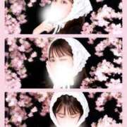 ヒメ日記 2026/03/29 19:17 投稿 桃凪【モモナ】 輝女