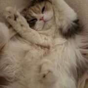 ヒメ日記 2025/05/06 05:55 投稿 なつ★業界未経験の超新星 BEPPIN SELECTION ～べっぴんセレクション～