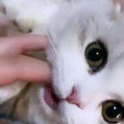 ヒメ日記 2025/05/27 04:50 投稿 なつ★業界未経験の超新星 BEPPIN SELECTION ～べっぴんセレクション～