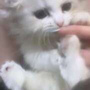 ヒメ日記 2025/06/03 03:56 投稿 なつ★業界未経験の超新星 BEPPIN SELECTION ～べっぴんセレクション～