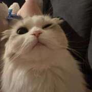 ヒメ日記 2025/06/12 04:11 投稿 なつ★業界未経験の超新星 BEPPIN SELECTION ～べっぴんセレクション～