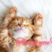 ヒメ日記 2024/12/27 05:21 投稿 体験わか 石巻 奥様食堂