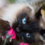 ヒメ日記 2025/01/28 10:11 投稿 体験わか 石巻 奥様食堂