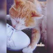 ヒメ日記 2025/02/07 11:31 投稿 体験わか 石巻 奥様食堂