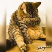 ヒメ日記 2025/04/02 07:31 投稿 体験わか 石巻 奥様食堂