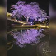 ヒメ日記 2025/04/19 19:31 投稿 体験わか 石巻 奥様食堂