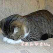 ヒメ日記 2025/04/30 08:11 投稿 体験わか 石巻 奥様食堂