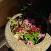 ヒメ日記 2025/05/07 09:31 投稿 体験わか 石巻 奥様食堂