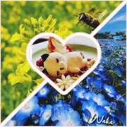 ヒメ日記 2025/05/29 17:51 投稿 体験わか 石巻 奥様食堂