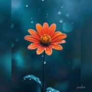 ヒメ日記 2025/07/26 09:02 投稿 体験わか 石巻 奥様食堂