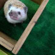 ヒメ日記 2025/10/20 06:51 投稿 体験わか 石巻 奥様食堂