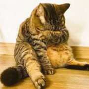 ヒメ日記 2025/11/14 08:01 投稿 体験わか 石巻 奥様食堂