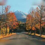 ヒメ日記 2025/11/23 19:11 投稿 体験わか 石巻 奥様食堂