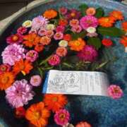 ヒメ日記 2025/12/09 07:11 投稿 体験わか 石巻 奥様食堂