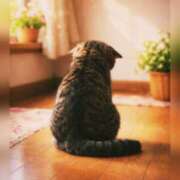 体験わか お休み 石巻 奥様食堂