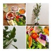 ちか ちか ちゃんこ東大阪 布施・長田店