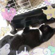 ヒメ日記 2025/02/17 23:28 投稿 りの モアグループ小山人妻花壇