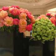 ヒメ日記 2024/12/07 13:38 投稿 秋本 華恋人(カレント)