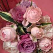 ヒメ日記 2025/02/17 19:40 投稿 秋本 華恋人(カレント)