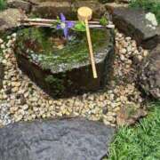 ヒメ日記 2025/03/20 10:36 投稿 秋本 華恋人(カレント)