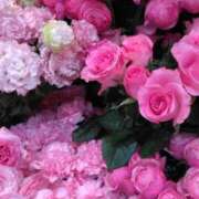 ヒメ日記 2025/04/13 07:22 投稿 秋本 華恋人(カレント)