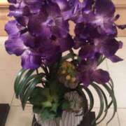 ヒメ日記 2025/05/12 22:03 投稿 秋本 華恋人(カレント)