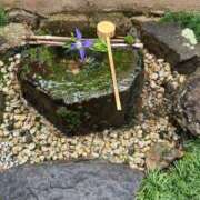 ヒメ日記 2025/06/17 22:22 投稿 秋本 華恋人(カレント)