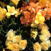 ヒメ日記 2025/08/21 11:18 投稿 秋本 華恋人(カレント)