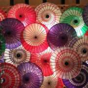 ヒメ日記 2025/08/29 07:41 投稿 秋本 華恋人(カレント)