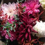 ヒメ日記 2025/09/01 07:51 投稿 秋本 華恋人(カレント)