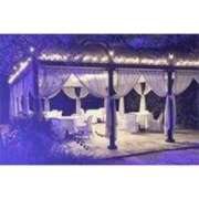 ヒメ日記 2025/09/02 08:58 投稿 秋本 華恋人(カレント)