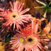 ヒメ日記 2025/09/03 07:19 投稿 秋本 華恋人(カレント)