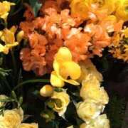 ヒメ日記 2025/09/12 16:40 投稿 秋本 華恋人(カレント)