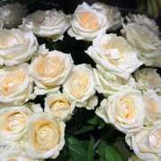 ヒメ日記 2025/10/04 07:34 投稿 秋本 華恋人(カレント)