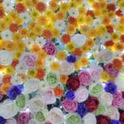 ヒメ日記 2025/10/05 09:27 投稿 秋本 華恋人(カレント)