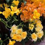 ヒメ日記 2025/10/17 12:44 投稿 秋本 華恋人(カレント)