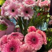 ヒメ日記 2025/10/23 09:35 投稿 秋本 華恋人(カレント)