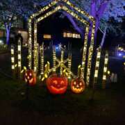 ヒメ日記 2025/10/26 07:07 投稿 秋本 華恋人(カレント)