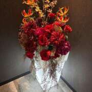 ヒメ日記 2025/10/26 18:58 投稿 秋本 華恋人(カレント)