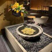 ヒメ日記 2025/10/30 07:39 投稿 秋本 華恋人(カレント)