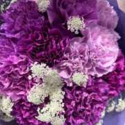 ヒメ日記 2025/10/31 08:05 投稿 秋本 華恋人(カレント)