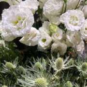 ヒメ日記 2025/11/14 09:11 投稿 秋本 華恋人(カレント)