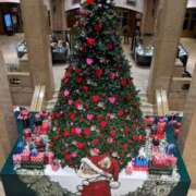 ヒメ日記 2025/11/23 00:19 投稿 秋本 華恋人(カレント)