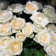 ヒメ日記 2025/11/24 11:12 投稿 秋本 華恋人(カレント)