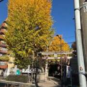 ヒメ日記 2025/11/30 10:03 投稿 秋本 華恋人(カレント)