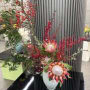 秋本 おはようございます 華恋人(カレント)