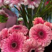 ヒメ日記 2025/12/17 09:31 投稿 秋本 華恋人(カレント)