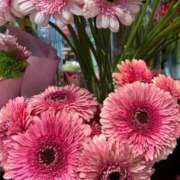 ヒメ日記 2026/01/26 07:15 投稿 秋本 華恋人(カレント)