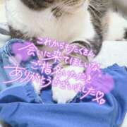 ヒメ日記 2025/06/08 01:21 投稿 かおる モアグループ小山人妻花壇