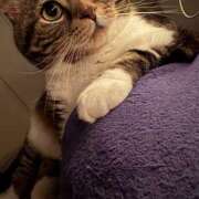 ヒメ日記 2025/07/11 14:59 投稿 かおる モアグループ小山人妻花壇